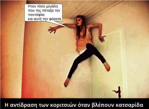 Κατσαρίδες στο σπίτι: 7 απλοί και φυσικοί τρόποι για να απαλλαγείτε μια για πάντα