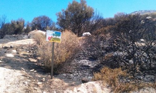 ΕΝΑ ΚΑΙΡΙΟ ΕΡΩΤΗΜΑ (ΓΙΑ ΤΗΝ ΠΥΡΟΠΡΟΣΤΑΣΙΑ)