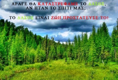 Για τα δάση: τα καλά και τα άσχημα νέα