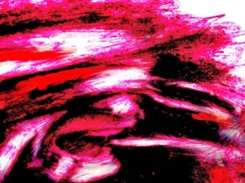 Χρέος μας να σταματήσουμε τους εκμαυλιστές!