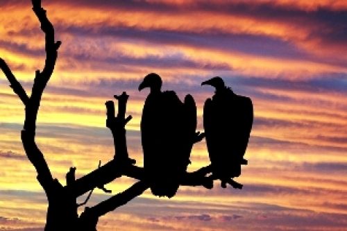 Η Εφορία μας εξοντώνει με τα πρόστιμα...