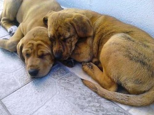Μία λέξη μόνο υπάρχει: Αλήτης...