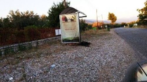 Δεν υπάρχουν λόγια για αυτό το έγκλημα...