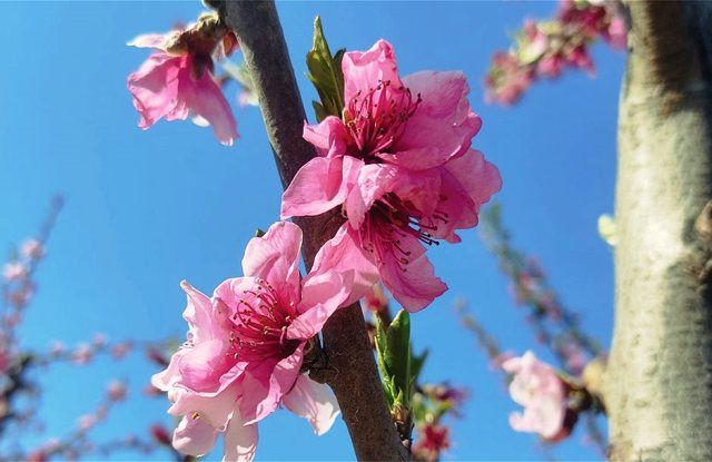 Ο καιρός την Παρασκευή 31 Μαρτίου 2023