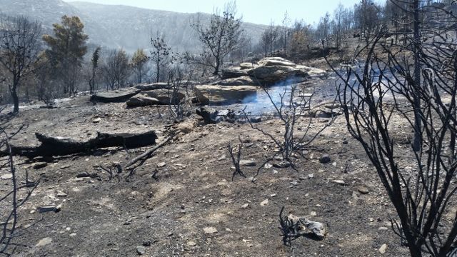 Συνάντηση της Διαδημοτικής Επιτροπής για την προστασία του Υμηττού