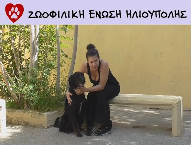 Βάλτε το μαύρο στη ζωή σας - ZΩΟΦΙΛΙΚΗ ΕΝΩΣΗ ΗΛΙΟΥΠΟΛΗΣ