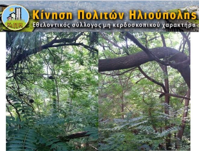 Μια γιορτή για το ποτάμι μας, την Πικροδάφνη (11.06.2017)