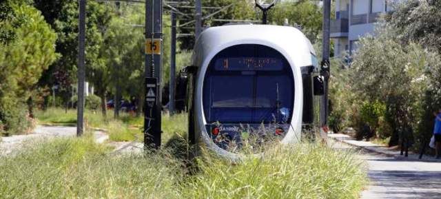 Οι γραμμές του Τραμ στη Γλυφάδα έγιναν... ζούγκλα  - Ο δήμος ζητάει άδεια να καθαρίσει και δεν του δίνουν...