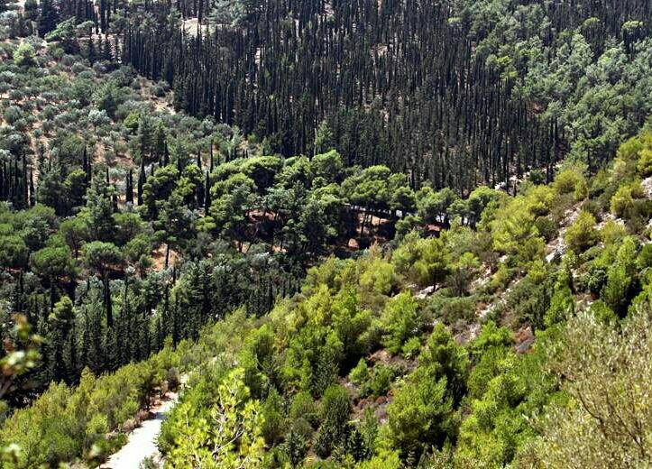 Αναστολή δόμησης σε επτά δήμους του Υμηττού