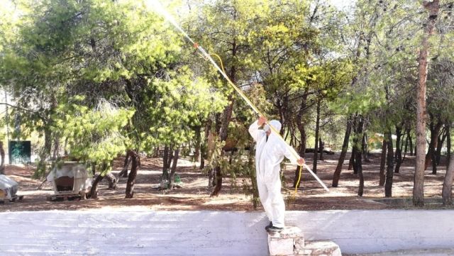  Δήμος Ελληνικού Αργυρούπολης - Ξεκίνησαν οι ψεκασμοί για την καταπολέμηση της κάμπιας των πεύκων 