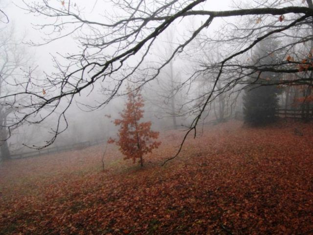Ο καιρός την Τρίτη 16 Ιανουαρίου 2018