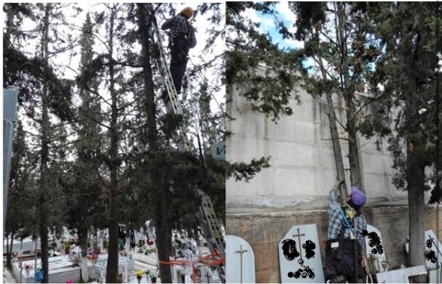 ΝΕΑ ΕΠΙΧΕΙΡΗΣΗ ΠΡΟΣΤΑΣΙΑΣ ΤΟΥ ΠΡΑΣΙΝΟΥ ΤΗΣ ΗΛΙΟΥΠΟΛΗΣ