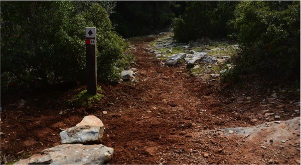 ΔΗΜΙΟΥΡΓΙΑ ΠΥΛΩΝ ΕΙΣΟΔΟΥ ΚΑΙ ΒΕΛΤΙΩΣΗ ΜΟΝΟΠΑΤΙΩΝ ΣΤΗΝ ΑΤΤΙΚΗ