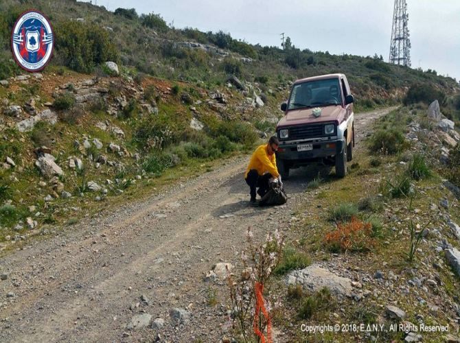 Ασυνείδητος γέμισε με φόλες τον Υμηττό – Οκτώ νεκρά ζώα