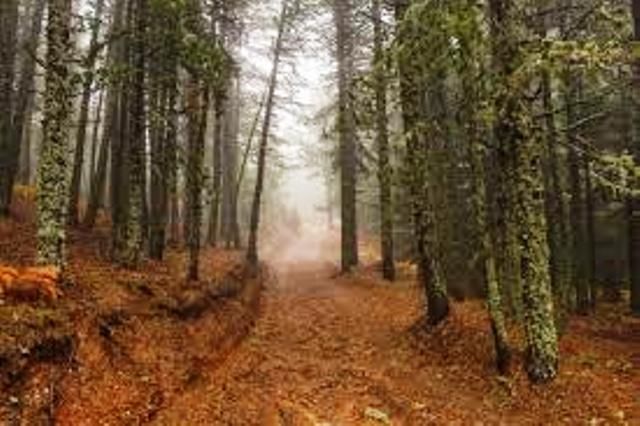 Ο καιρός την Πέμπτη 18 Οκτωβρίου 2018