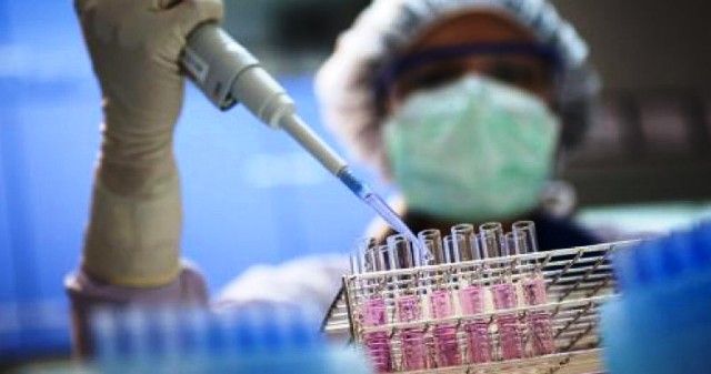 Σε Ελληνίδα ερευνήτρια το φετινό βραβείο Παπανικολάου