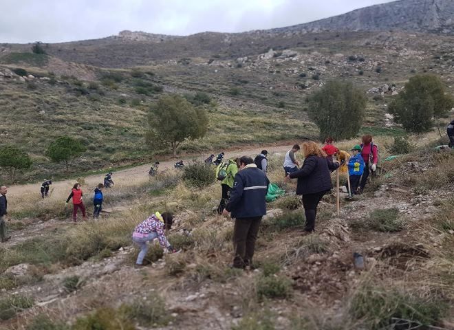 Με επιτυχία πραγματοποιήθηκε η εθελοντική αναδάσωση στον Υμηττό