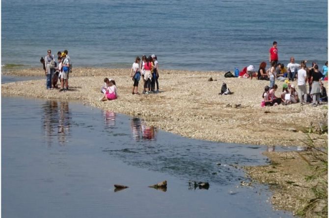 Ημέρα του Ρέματος Πικροδάφνης - 12 σχολεία συμμετείχαν.