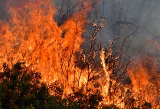 Δήμος Καισαριανής: Ακραίος κίνδυνος πυρκαγιάς - Κατάσταση Συναγερμού (κατηγορία κινδύνου 5)