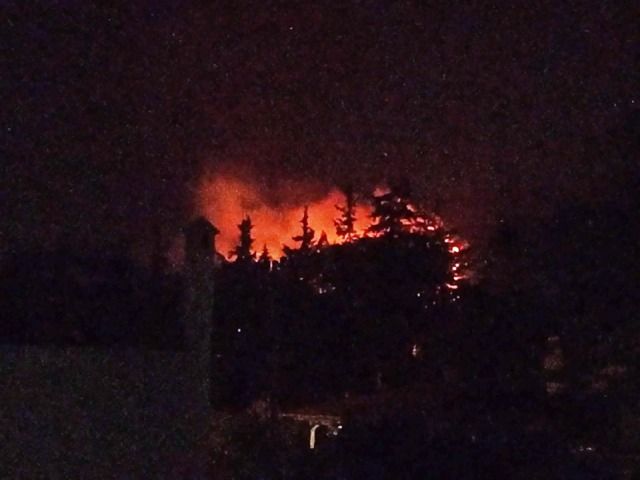 Πυρκαγιά σε δασική έκταση στο Λιβίσι, Νέας Μάκρης.
