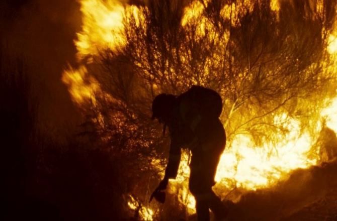 Δείτε ποιοι κέρδισαν τα βραβεία του 60ου Φεστιβάλ Κινηματογράφου Θεσσαλονίκης 