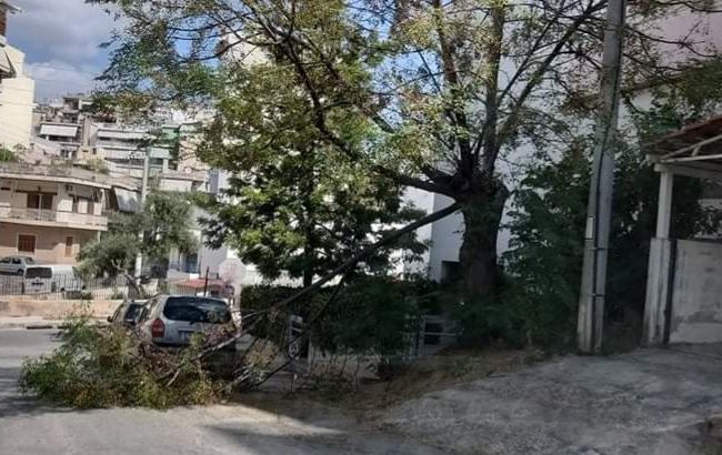 Πτώση δέντρου στην Ηλιούπολη 