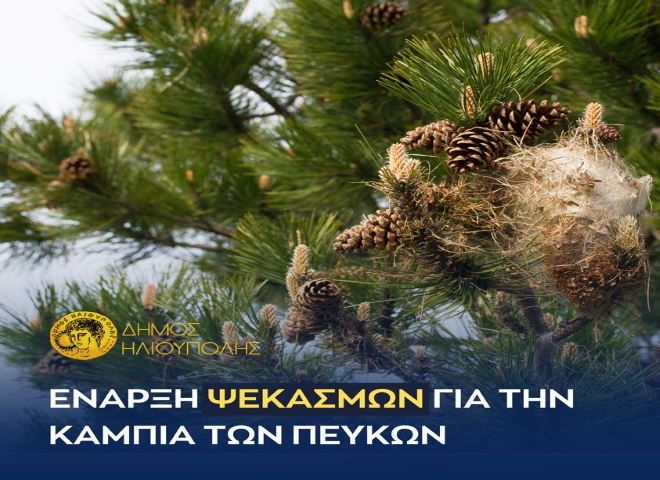 Δήμος Ηλιούπολης: ''ψεκασμοί για την κάμπια των πεύκων''.