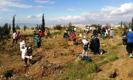 Η Μελέτη αναδάσωσης του Υμηττού υλοποιείται!