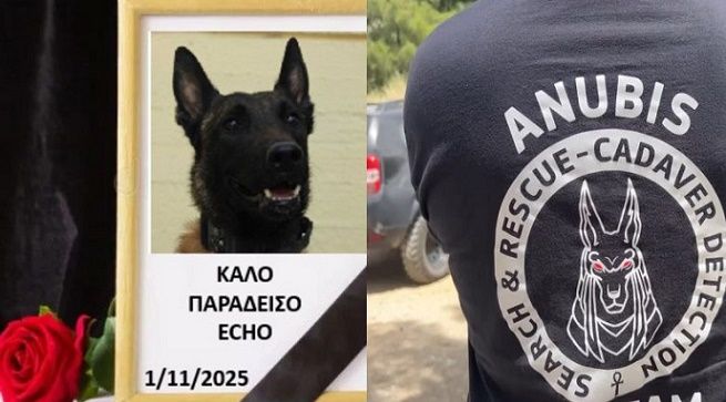 Nεκρός ξαφνικά ο ''Echo'', το σκυλί ντετέκτιβ της ''Anubis''