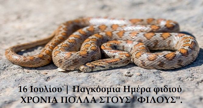 Ο καιρός την Τετάρτη 16 Ιουλίου 2025