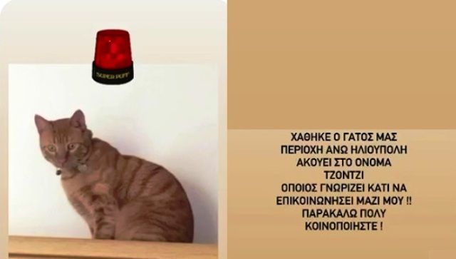 Χάθηκε ο Τζόντζι.