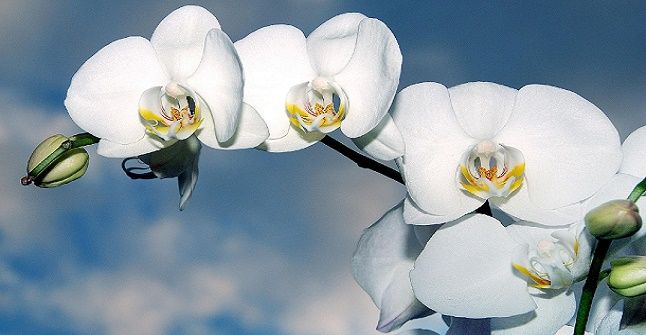 Ο καιρός την Δευτερα 19 Ιανουαρίου 2026