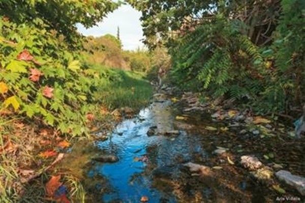 Ρέμα Πικροδάφνης: αναστολή οικοδομικών εργασιών κατά μήκος τεσσάρων Δήμων