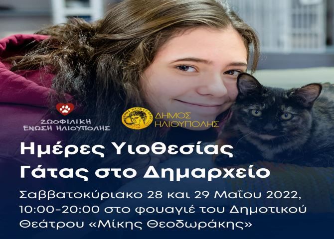 Ζωοφιλική Ένωση Ηλιούπολης: Ημέρες Υιοθεσίας Γάτας στο Δημαρχείο Ηλιούπολης.
