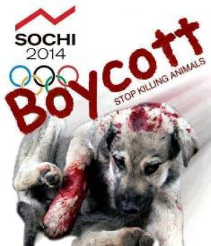 2.000 αδέσποτα θα θανατωθούν για τους Χειμερινούς Ολυμπιακούς Αγώνες