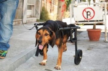 Υπάρχουν ακόμα Άνθρωποι.