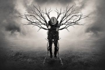 Περί απολιτίκ. Του Αλέξανδρου Οικονομίδη