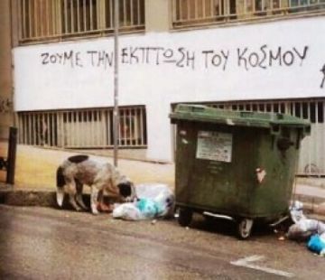 Εδώ ο κόσμος πεινάει και εσύ ταΐζεις τα παλιόσκυλα...