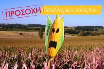 12 Ευρωπαίοι Υπουργοί ενάντια στα μεταλλαγμένα και ο Ε. Βενιζέλος απών