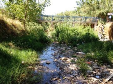 ΓΙΑ ΤΗΝ ΑΝΑΚΟΙΝΩΣΗ ΤΗΣ ΠΕΡΙΦΕΡΕΙΑΣ - ΔΙΚΤΥΟ ΠΟΛΙΤΩΝ ΓΙΑ ΤΗ ΔΙΑΣΩΣΗ ΤΟΥ ΡΕΜΑΤΟΣ ΤΗΣ ΠΙΚΡΟΔΑΦΝΗΣ