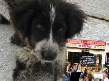 30.000 ευρώ πρόστιμο στο φονιά της 