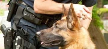 Η κρίση χτύπησε και τους αστυνομικούς σκύλους