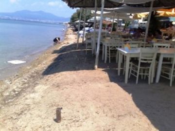 WWF: Εγκληματικό το νομοσχέδιο