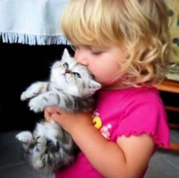 Ζώα & Άνθρωπος - Εκδήλωση του Δήμου Μοσχάτου - Ταύρου