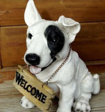 Νομικό Συμβούλιο του Κράτους: Χωρίς περιορισμό τα κατοικίδια σε μονοκατοικίες και διαμερίσματα