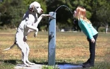 Δεν υπάρχουν 