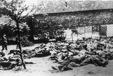 70 χρόνια από τη σφαγή του Διστόμου