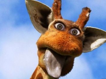 Οι πλαστές πινακίδες της δημοκρατίας