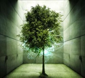 ΑΝΟΙΧΤΟ ΔΗΜΟΤΙΚΟ ΣΥΜΒΟΥΛΙΟ για αεροδρόμιο, ΚΥΤ, ΜΕΤΡΟ, απορρίμματα