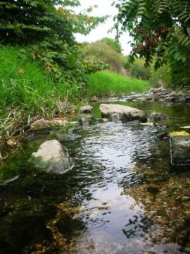 Χωρίς ιδιαίτερα προβλήματα οι περιοχές του ρέματος της Πικροδάφνης έπειτα από τις σφοδρές νεροποντές